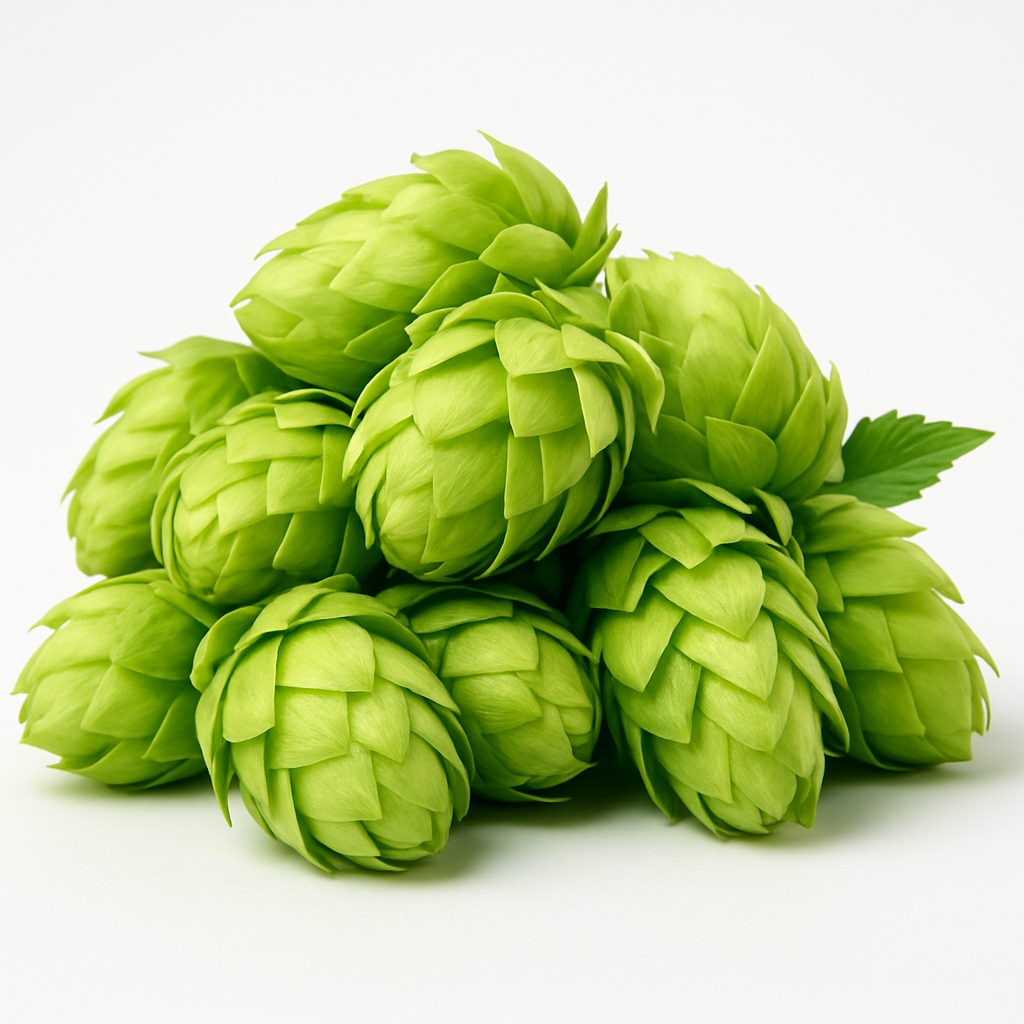 Fresh hops